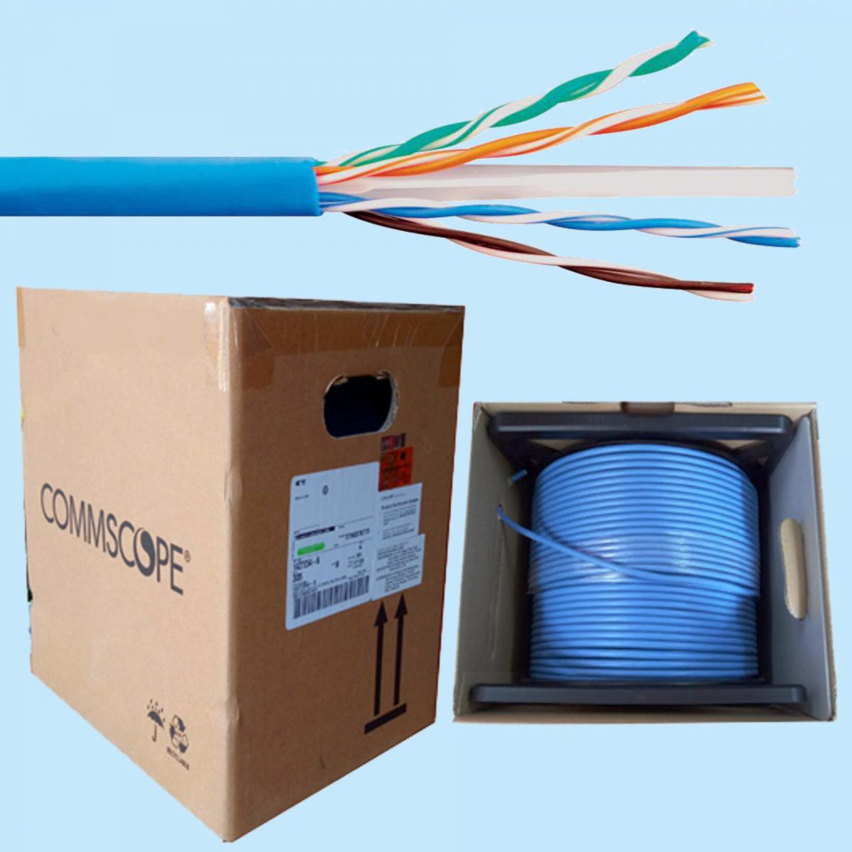 cáp mạng AMP