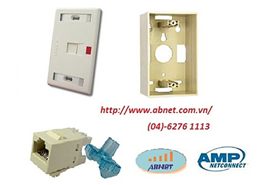 Nhân mạng RJ45 AMP Cat5e Cat6