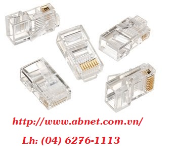 Hạt mạng AMP, phụ kiện AMP chính hãng